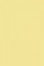 FARROW AND BALL HOUND LEMON NO. 2 PAINT